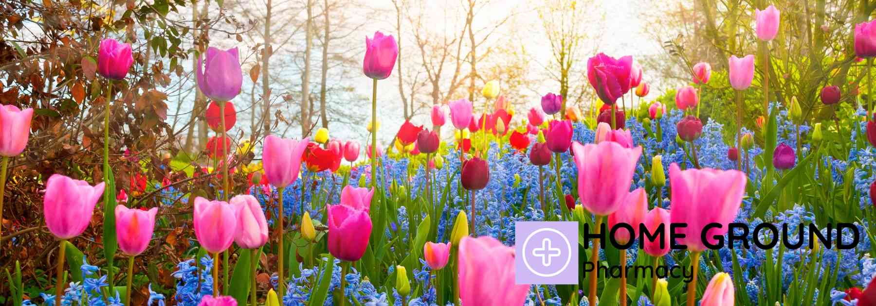 spring and hay fever