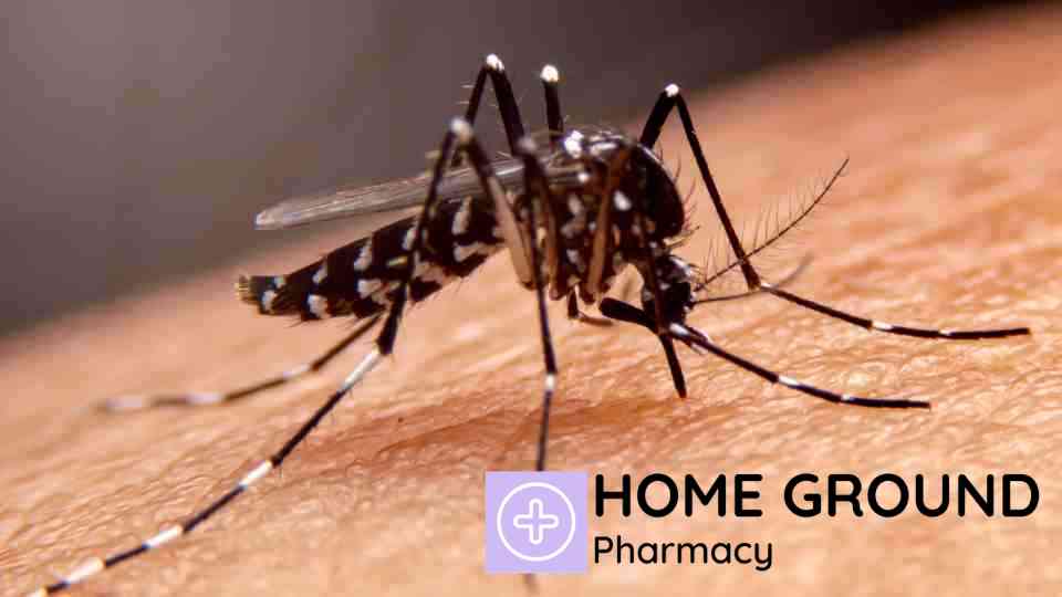 Protecting Against Dengue Fever: The Importance of Vaccination
