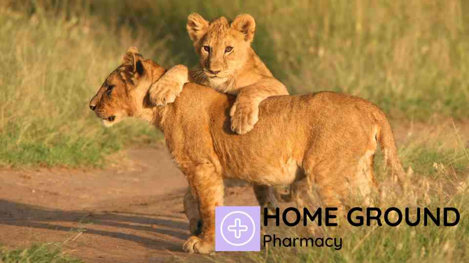 Meningitis ACWY Vaccine for Travellers – Top Destinations and Advice