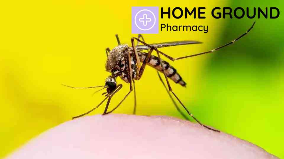 How Serious Is a Dengue Fever Rash? What You Should Know