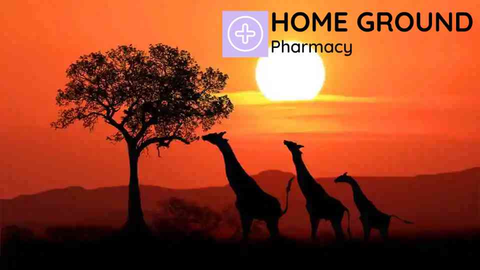 Do I Need the Cholera Vaccine for My Holiday?
