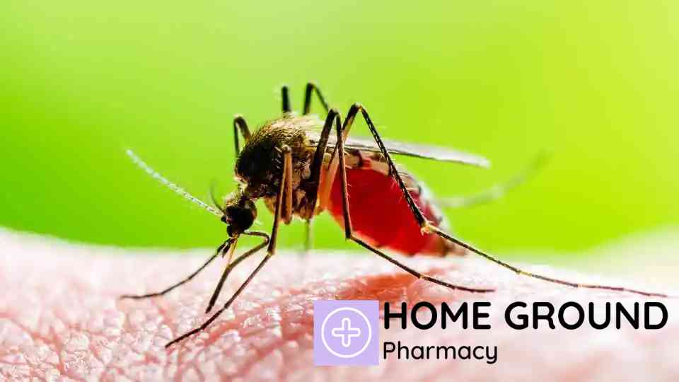 How Long Does The Yellow Fever Vaccine Last? Your Complete Guide