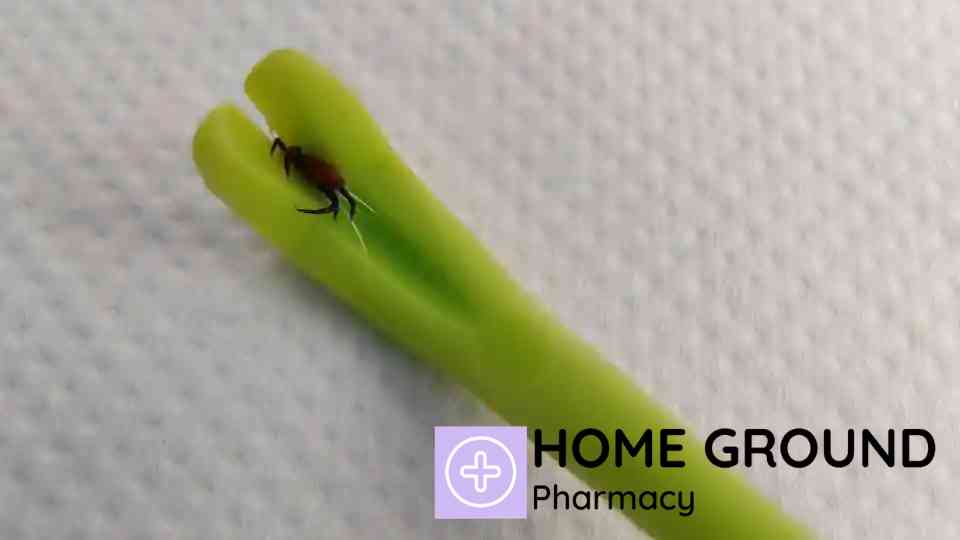 How Does a Tick Pulling Tool Protect Me? – Travel Health Advice Swindon