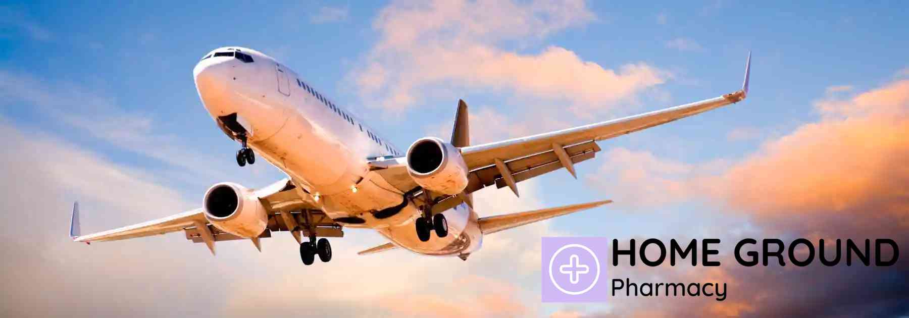 plane flying in sunset sky