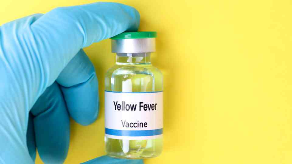 Where Can I Get the Yellow Fever Vaccine Near Me in Swindon?